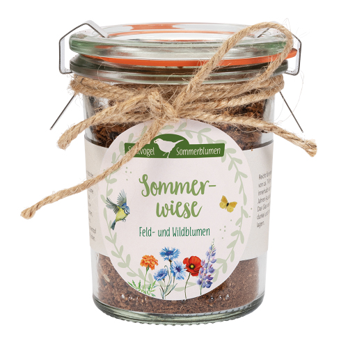 Blumensamen - Sommerwiese - Feld- und Wildblumen - Einmachglas Samen Blumen Vogerl Schmetterling