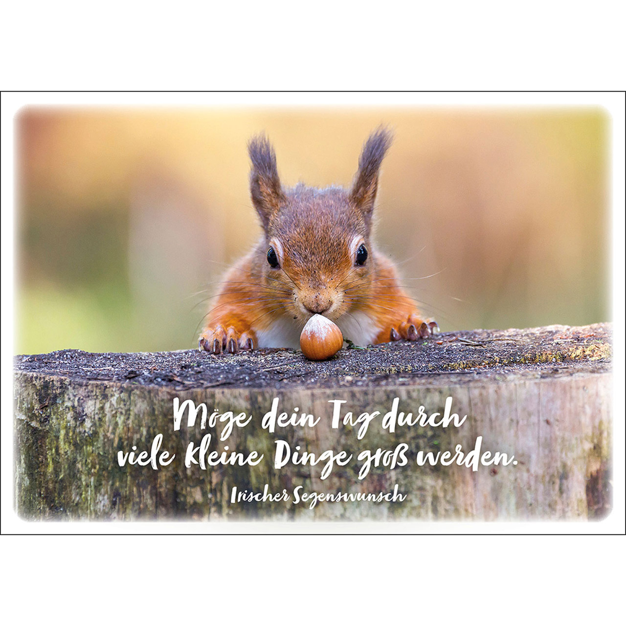 Möge dein Tag durch viele kleine Dinge groß werden Möge dein Tag durch viele kleine Dinge groß werden