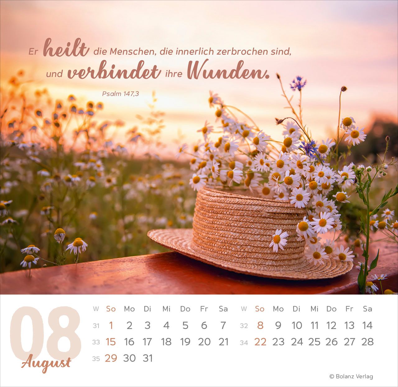 Tischkalender - Meine Zeit 2027 Tischkalender