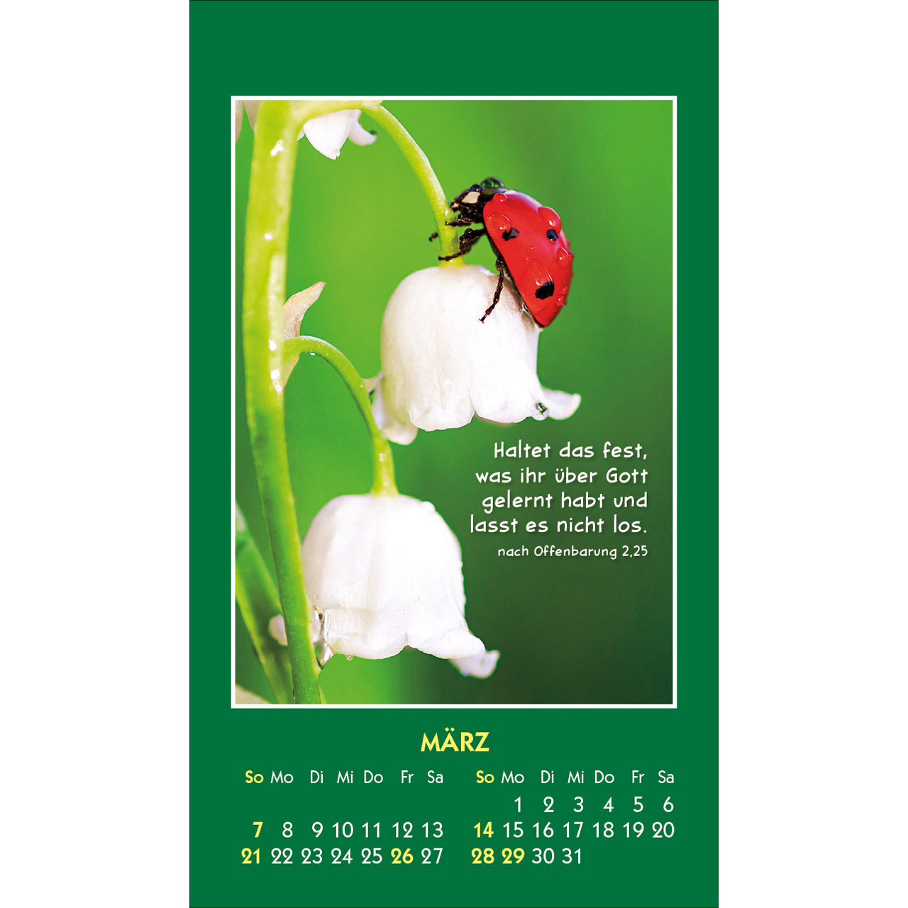 Aufkleberkalender - Hallo Du 2027