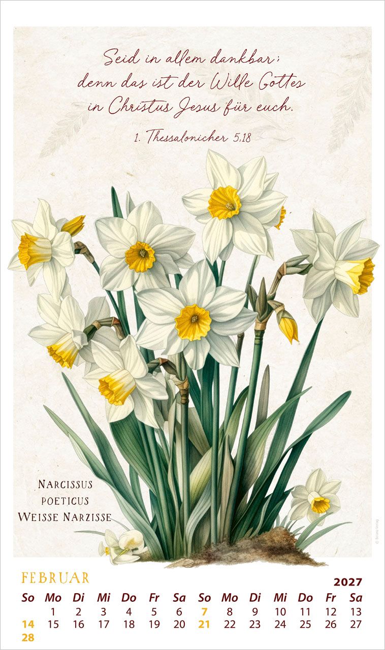 Posterkalender - Schmuckstücke des Schöpfers 2027 Posterkalender