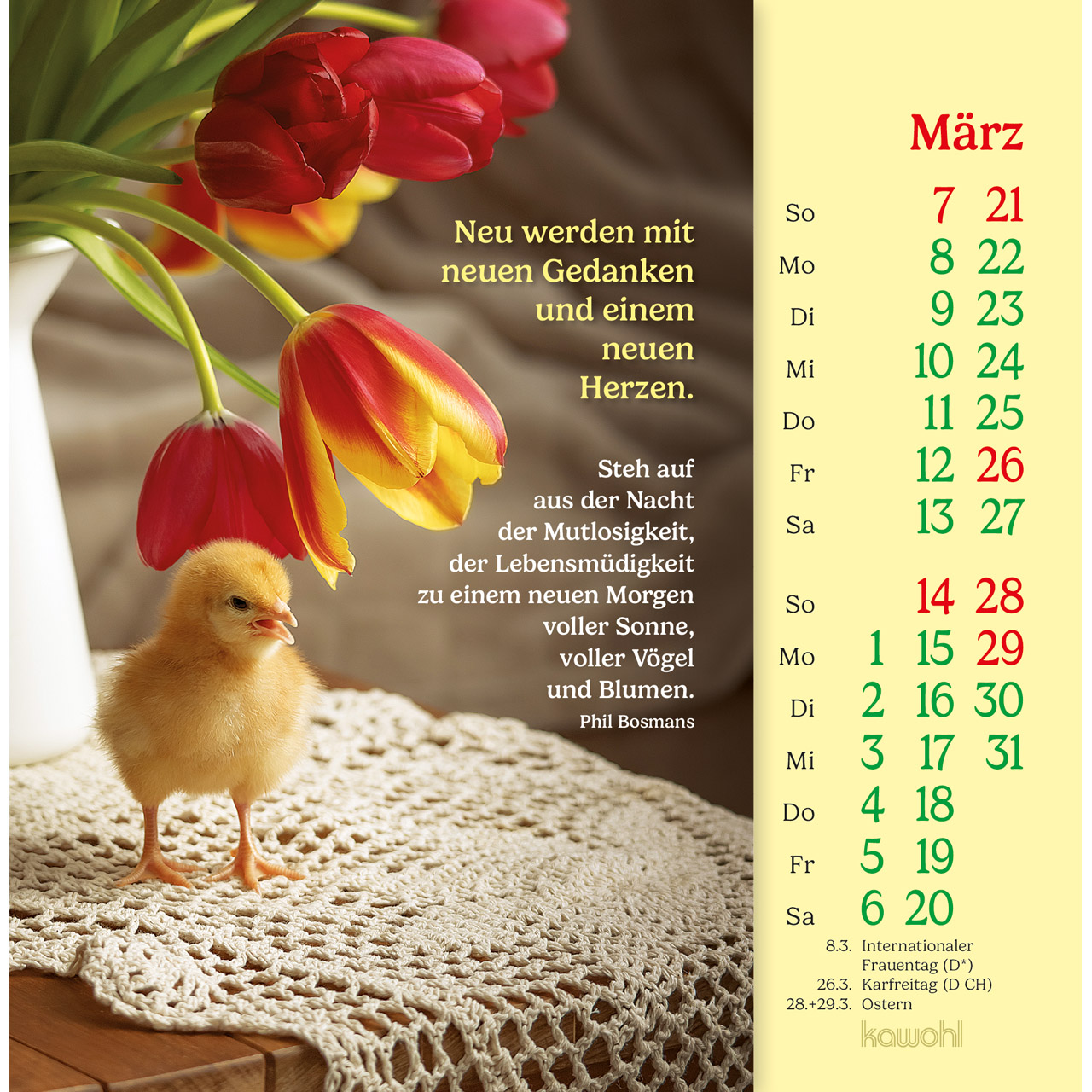Postkartenkalender - Phil Bosmans - Postkarten-Kalender 2027