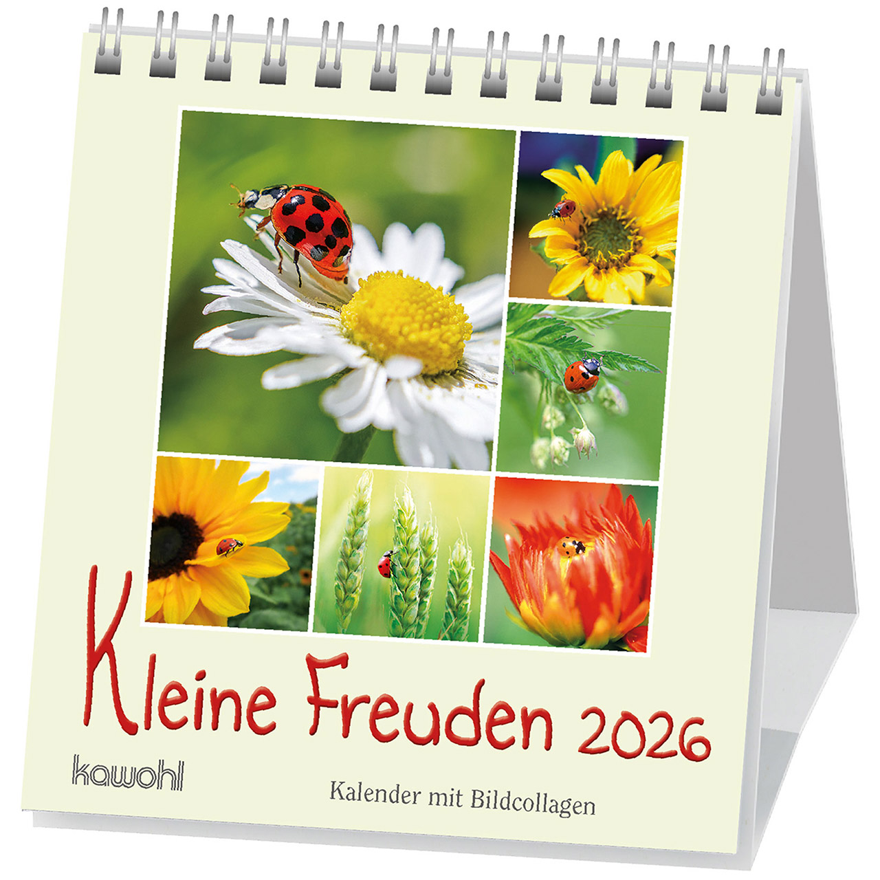 Kleine Freuden 2026