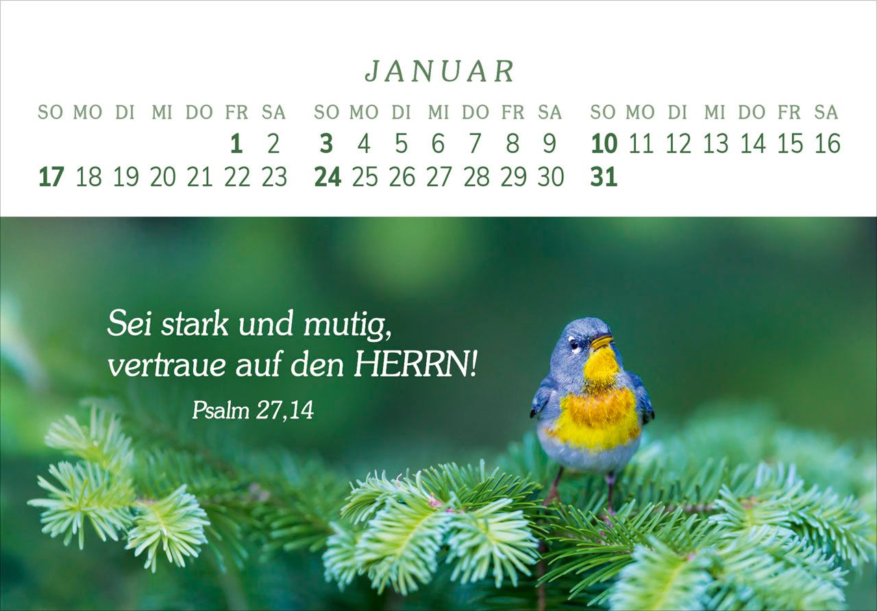 Panoramakalender - Das Geschenk der Freude 2027