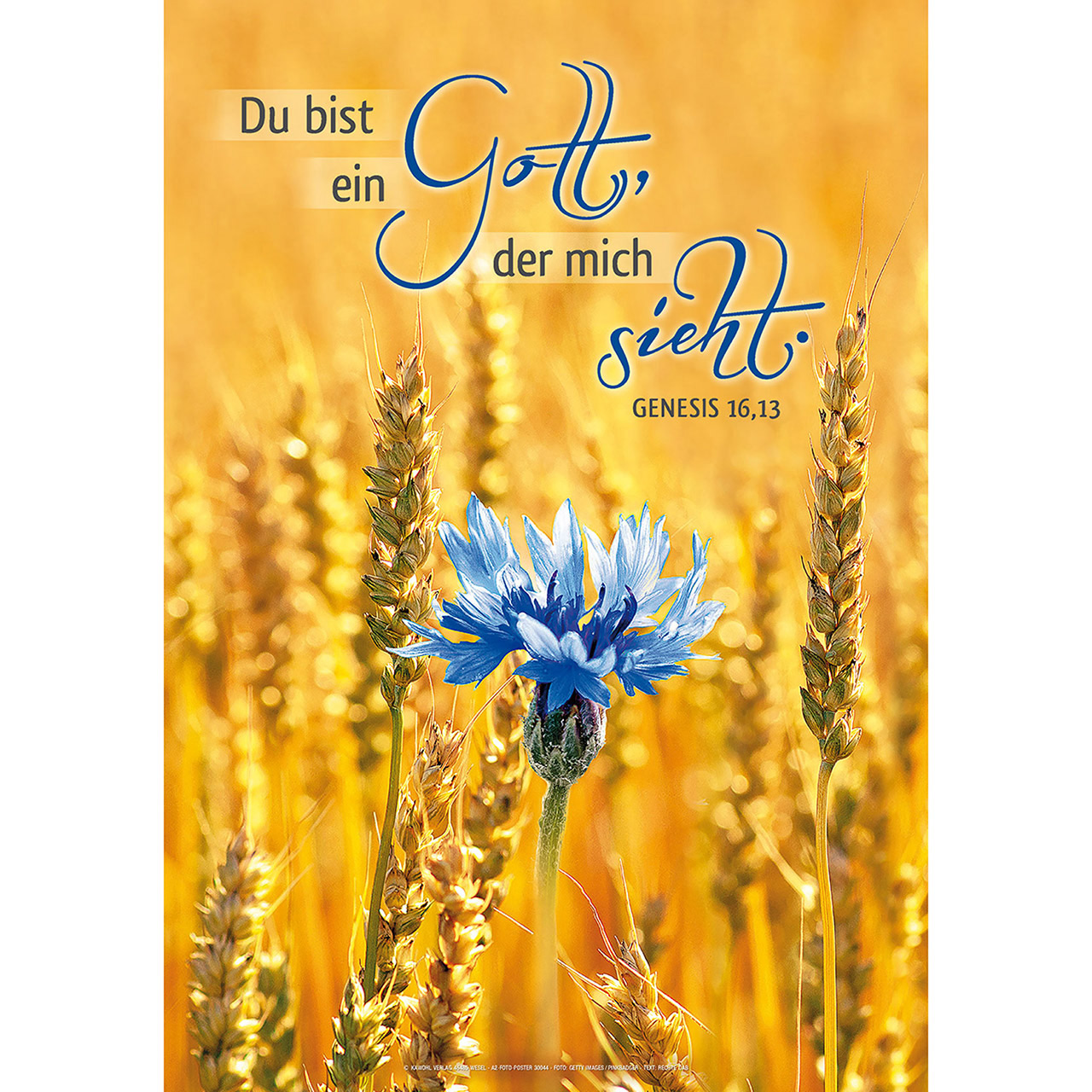 Du bist ein Gott, der mich sieht.
