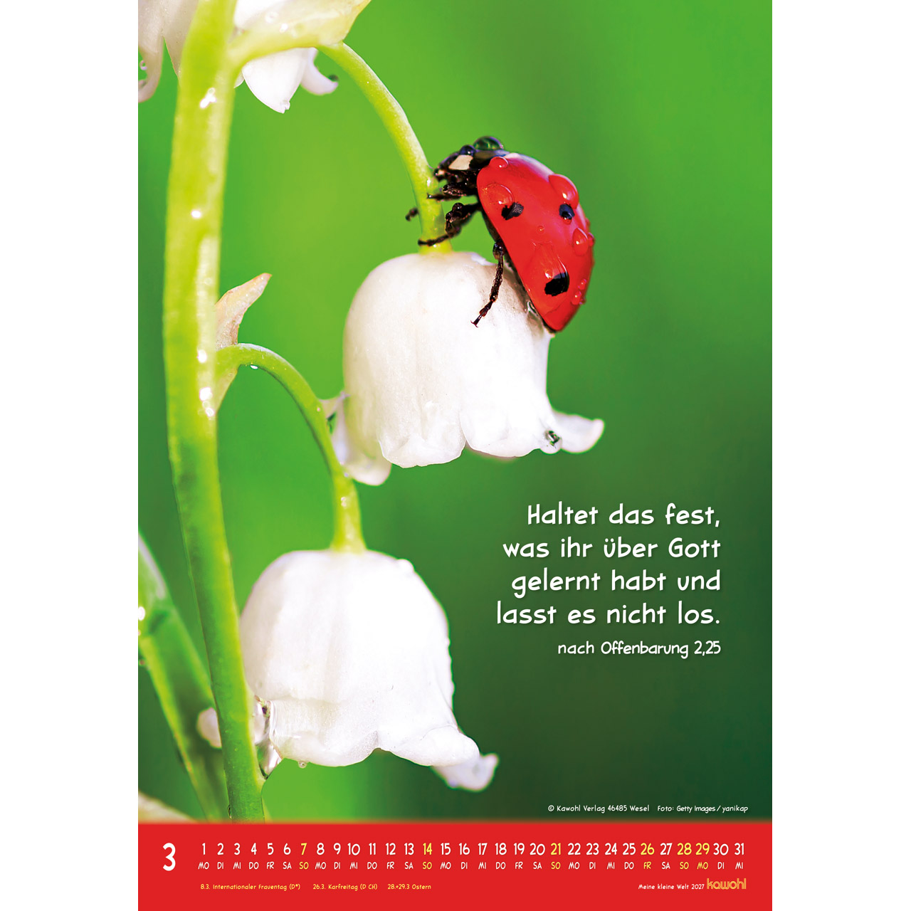 Wandkalender - Meine kleine Welt 2027