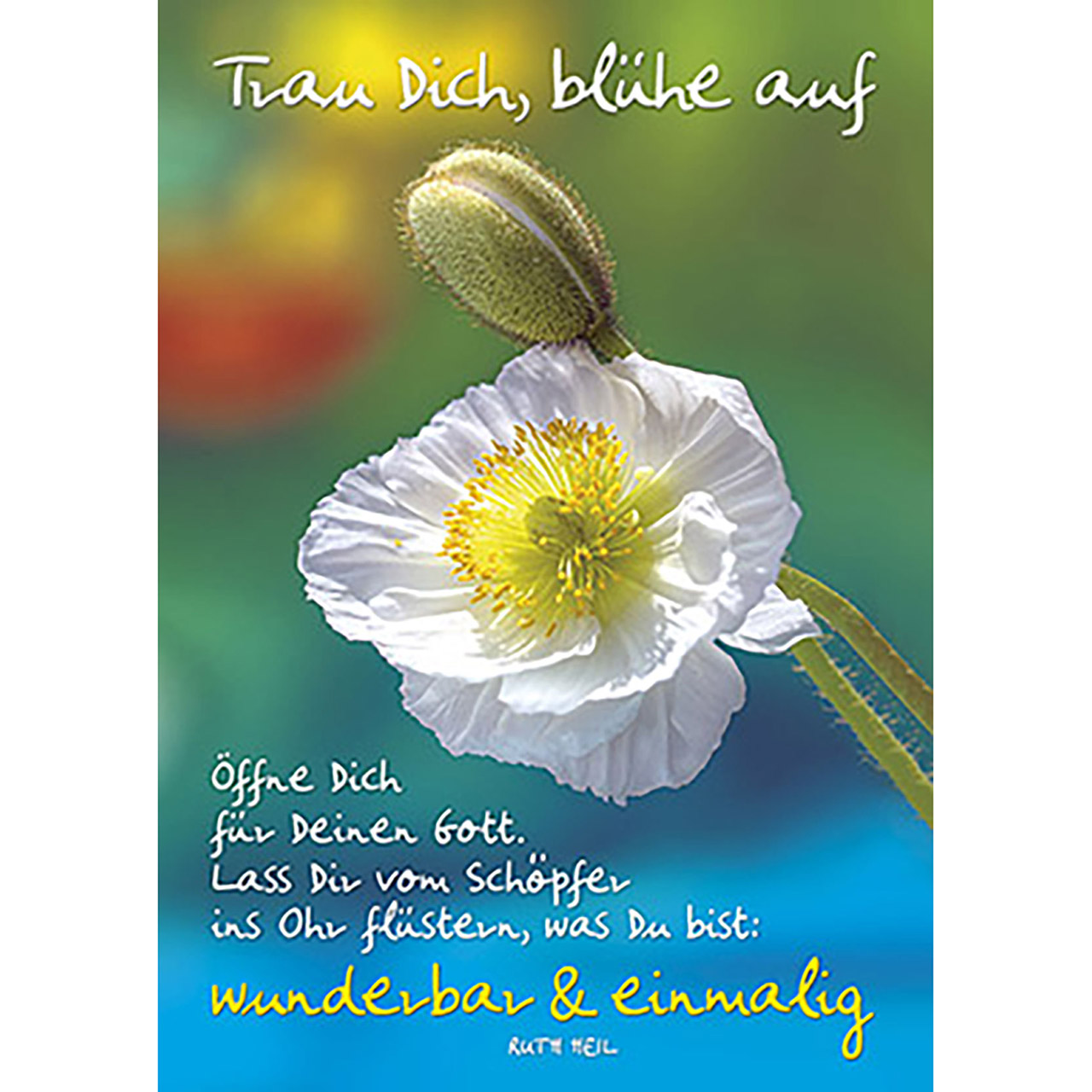 Poster - Trau Dich - Blume weißer Mohn