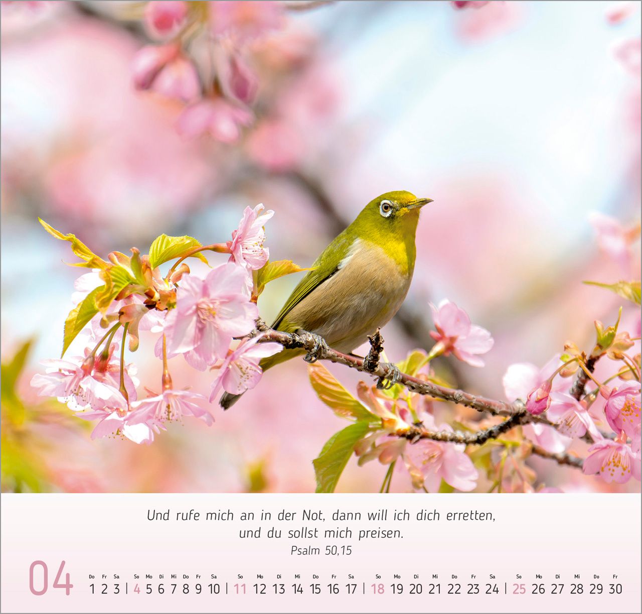 Wandkalender - Gesichter der Natur 2027