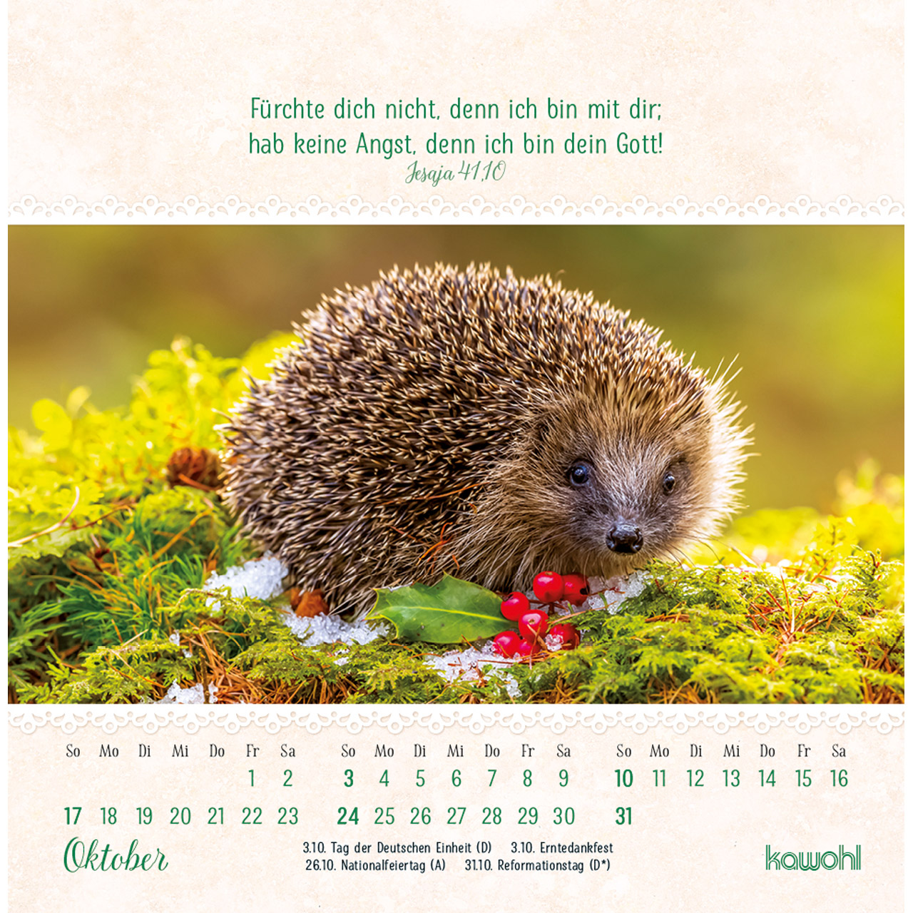 Postkartenkalender - Von Herzen gute Tage 2027