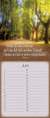 Immerwährender Kalender - Der Herr segne dich und behüte dich - Blüte im See