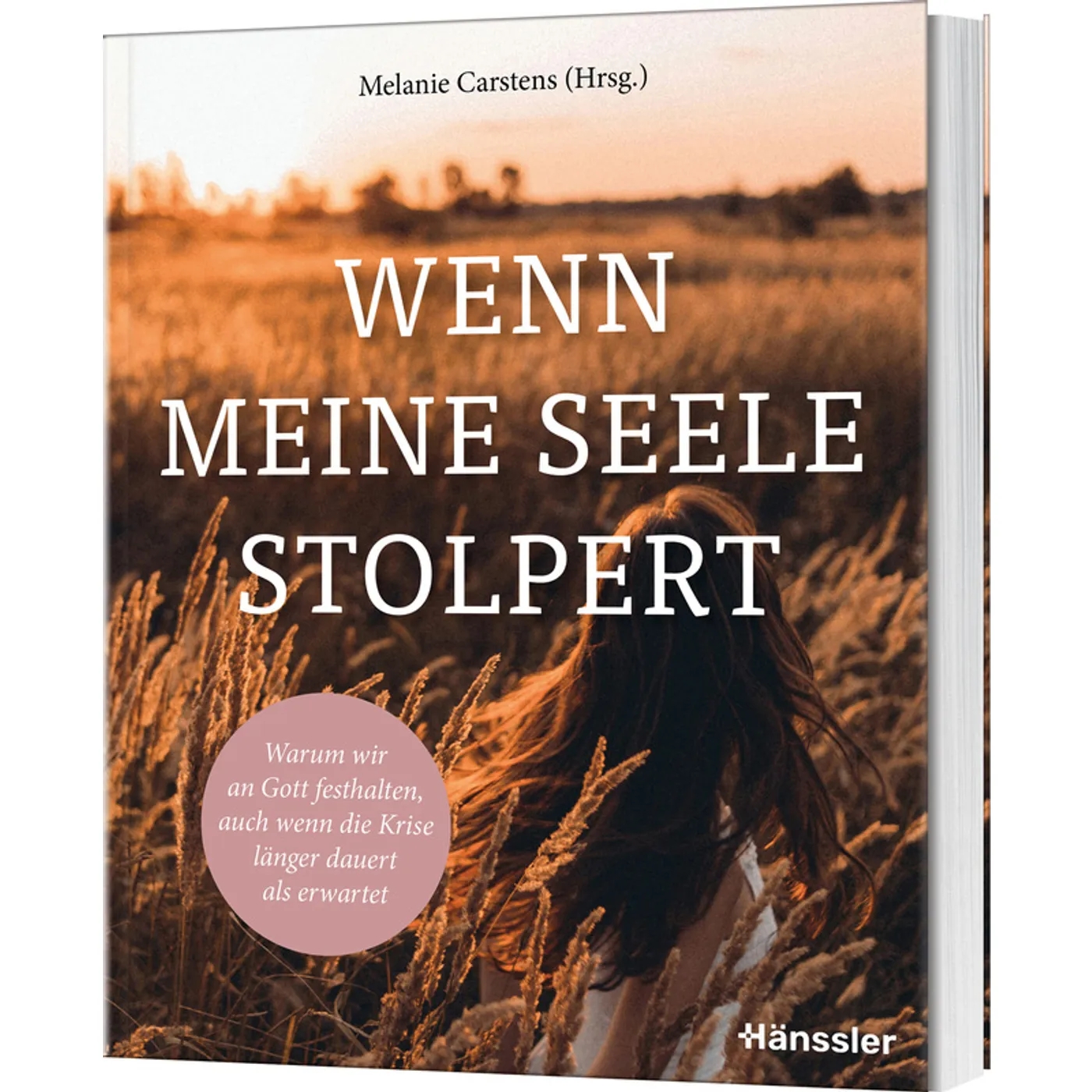 Buch - Wenn die Seele stolpert