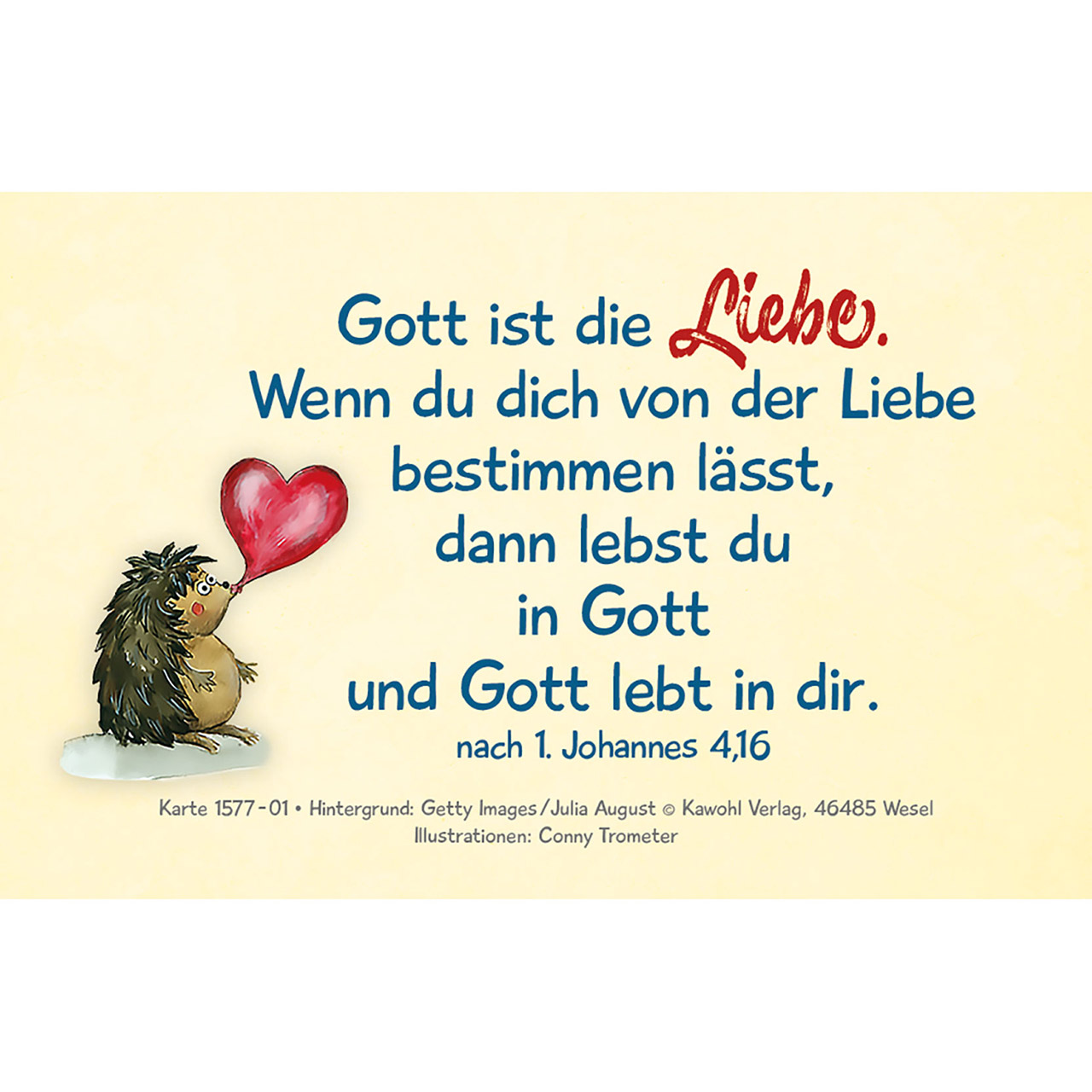 Karten-Box Kunststoff - Entdecke Gottes Liebe - Bibel-Impulse für Kinder - Igel Sonnenblume Herz Schmetterling