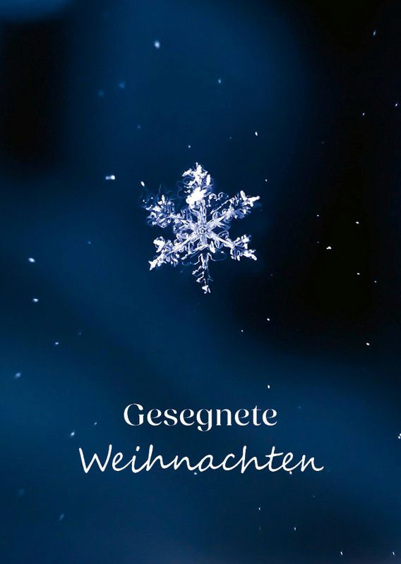 Postkarten - Freue dich, Welt!