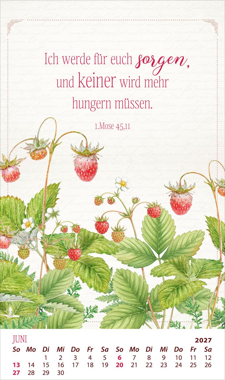 Posterkalender - Die Kraft der Worte 2027 Posterkalender