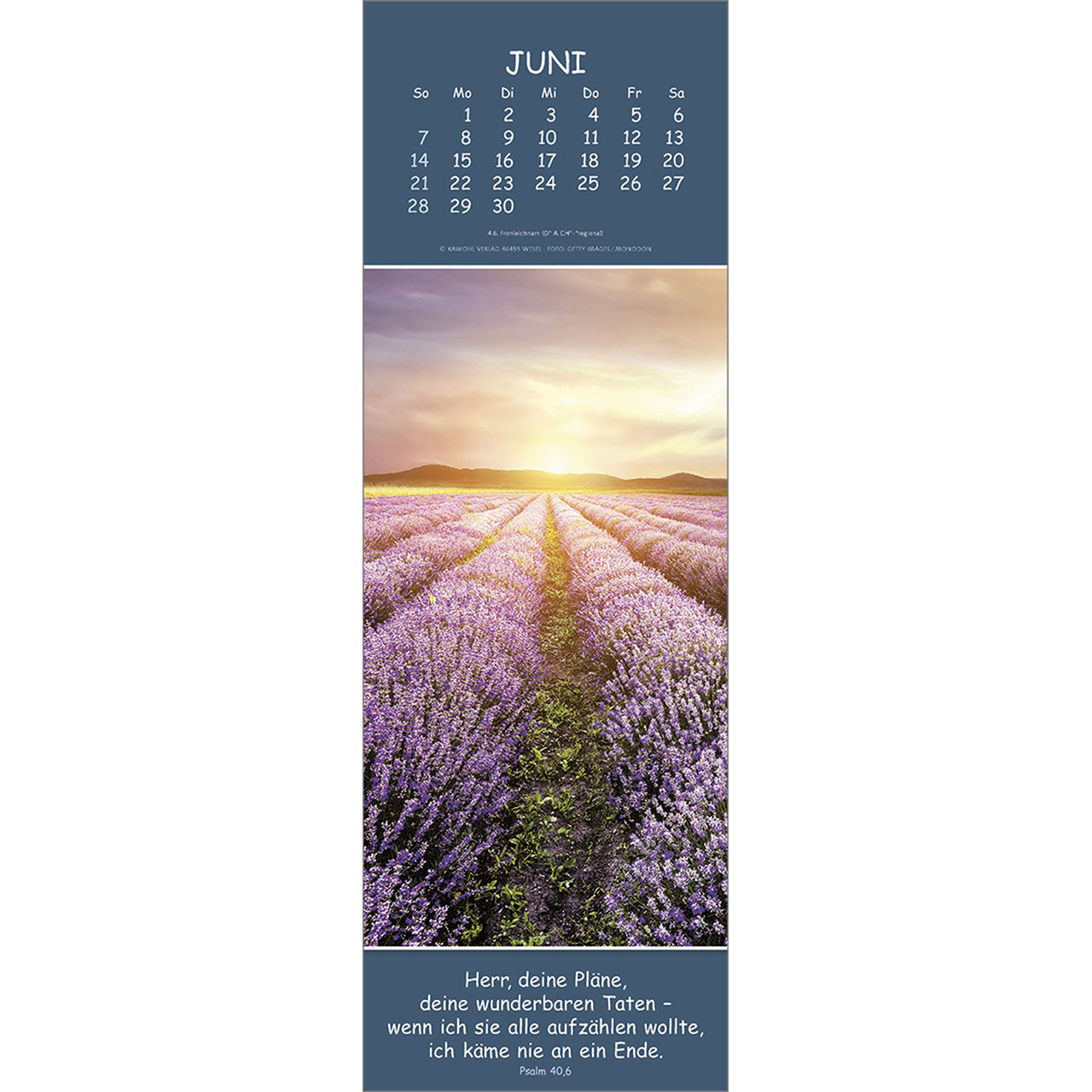 Wandkalender - Gedanken des Friedens 2026