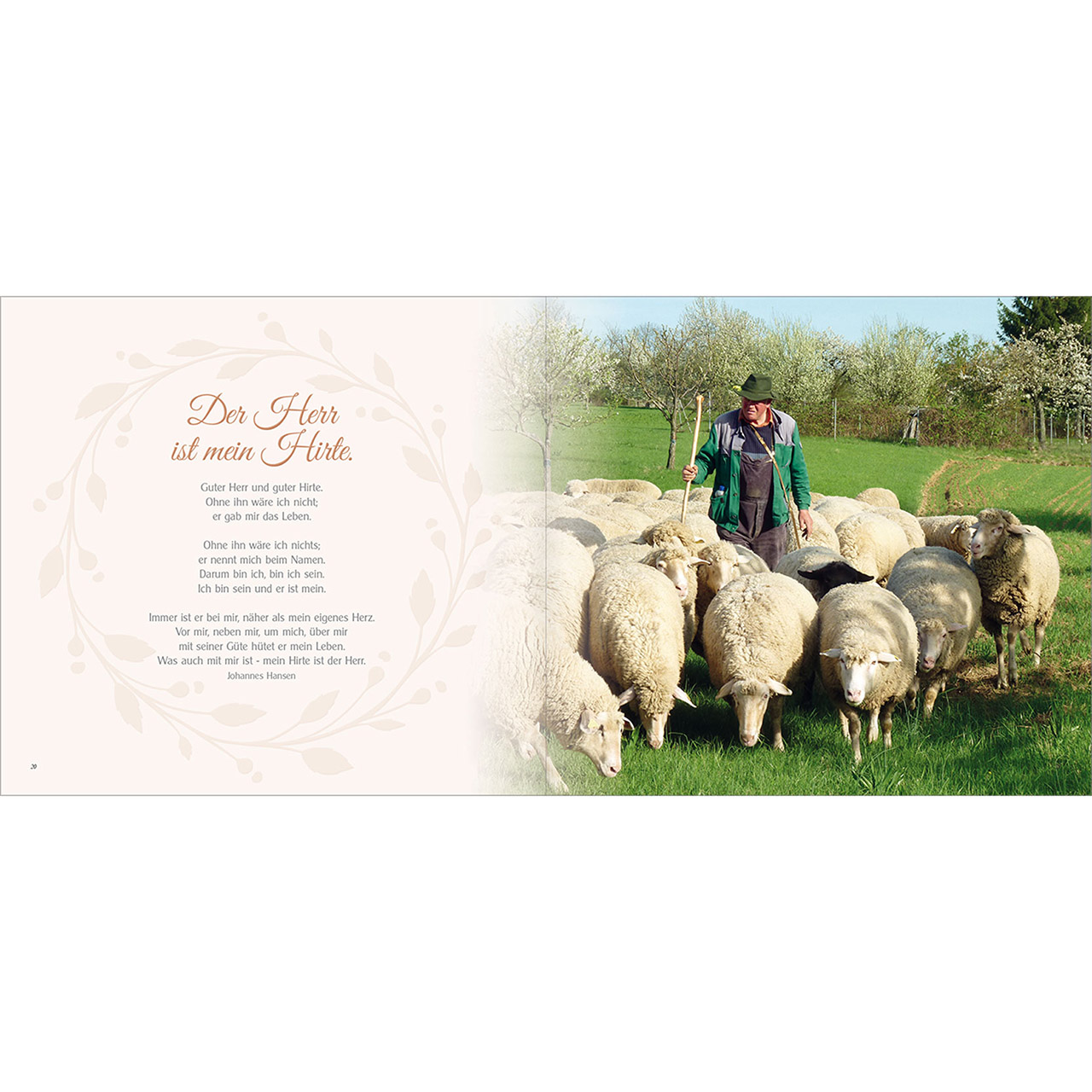 Geschenkbuch - 23 - Der Psalm fürs Leben - Schaf Lamm