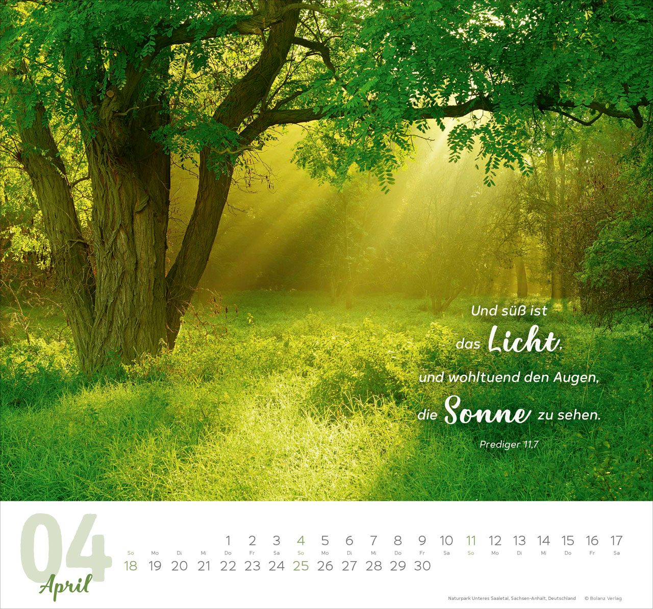 Wandkalender - Meine Zeit 2027 Wandkalender