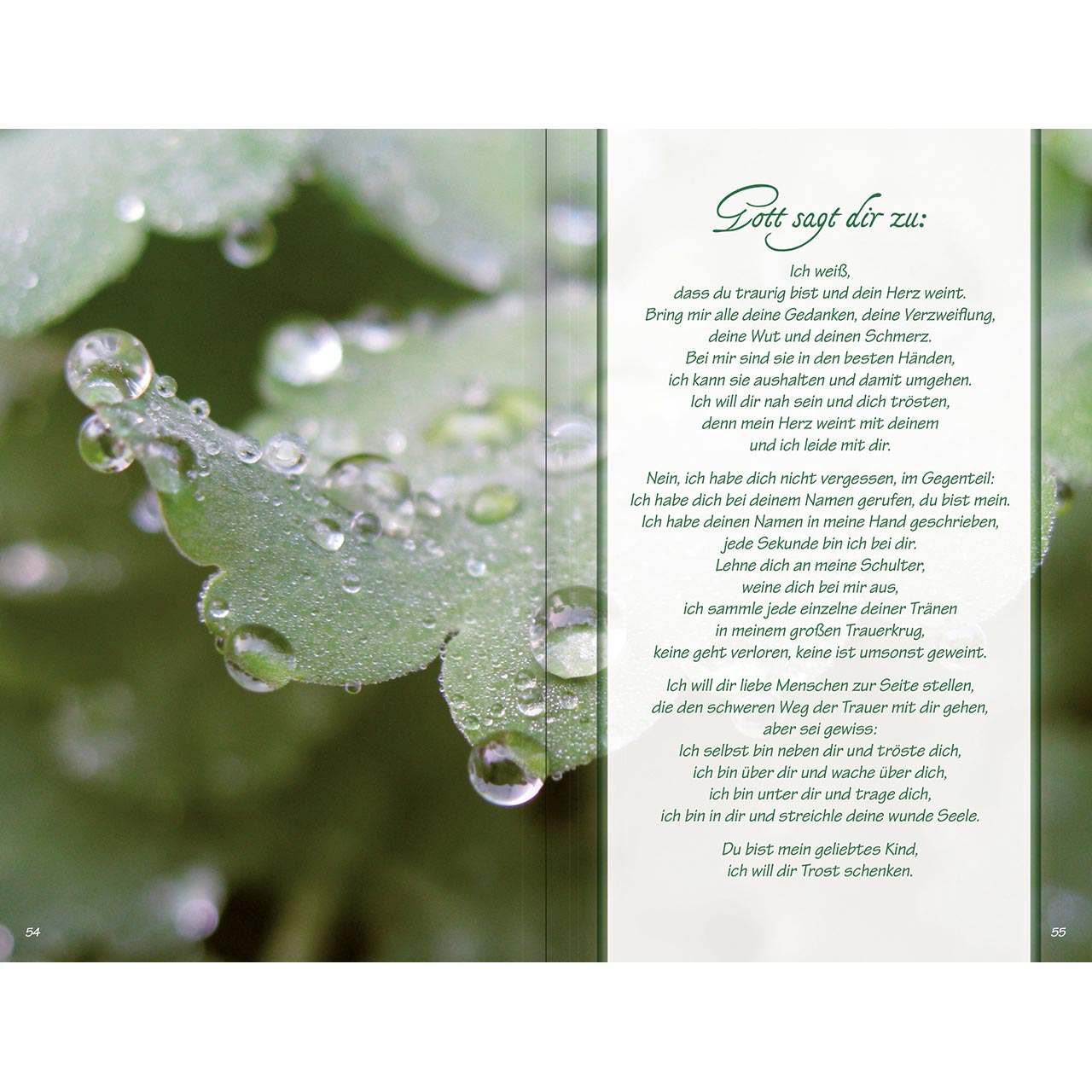 Geschenkbuch - Ich bin da, dir ganz nah - rosa Blumen