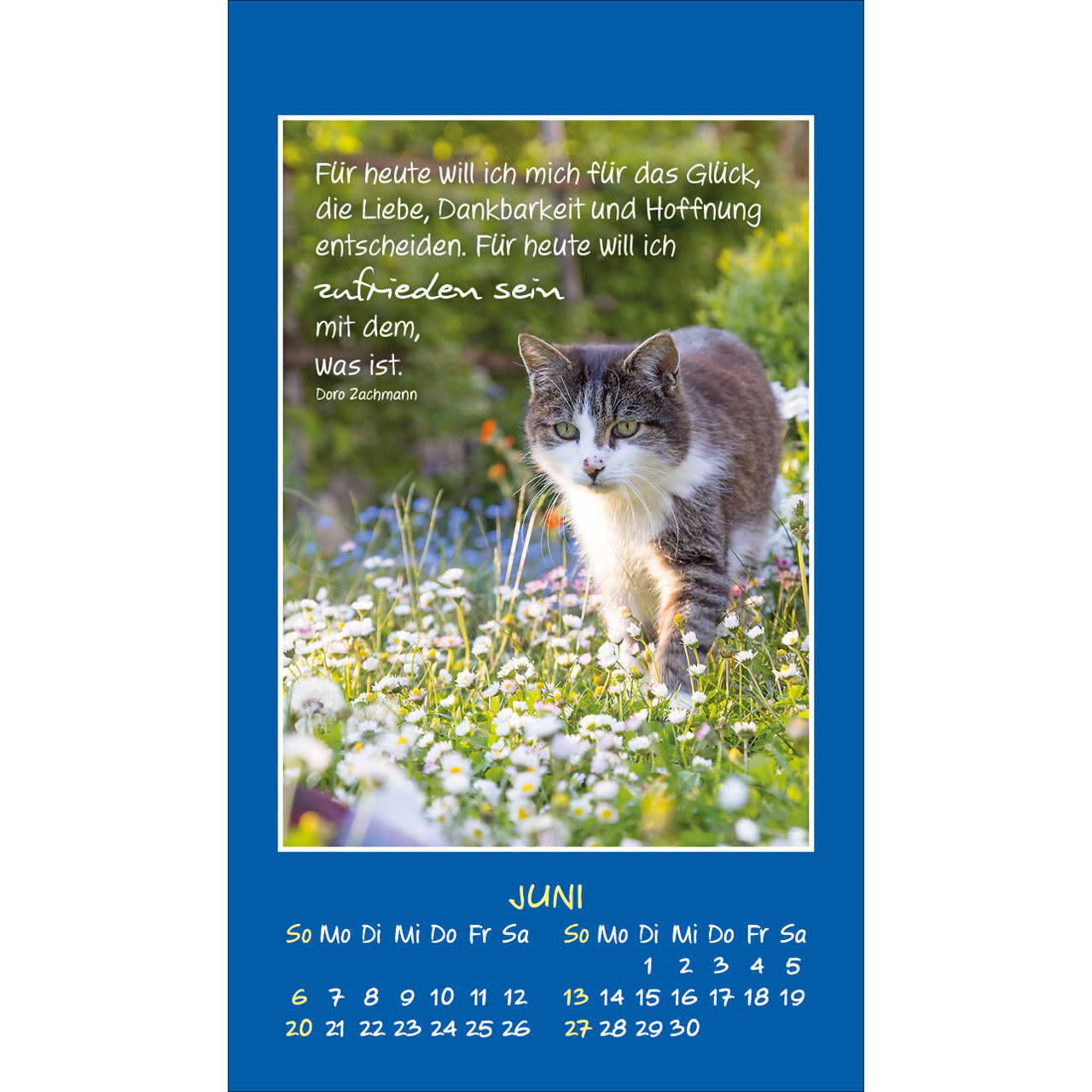 Aufkleberkalender - Mini Katzen-Tatzen 2027 - Katzen