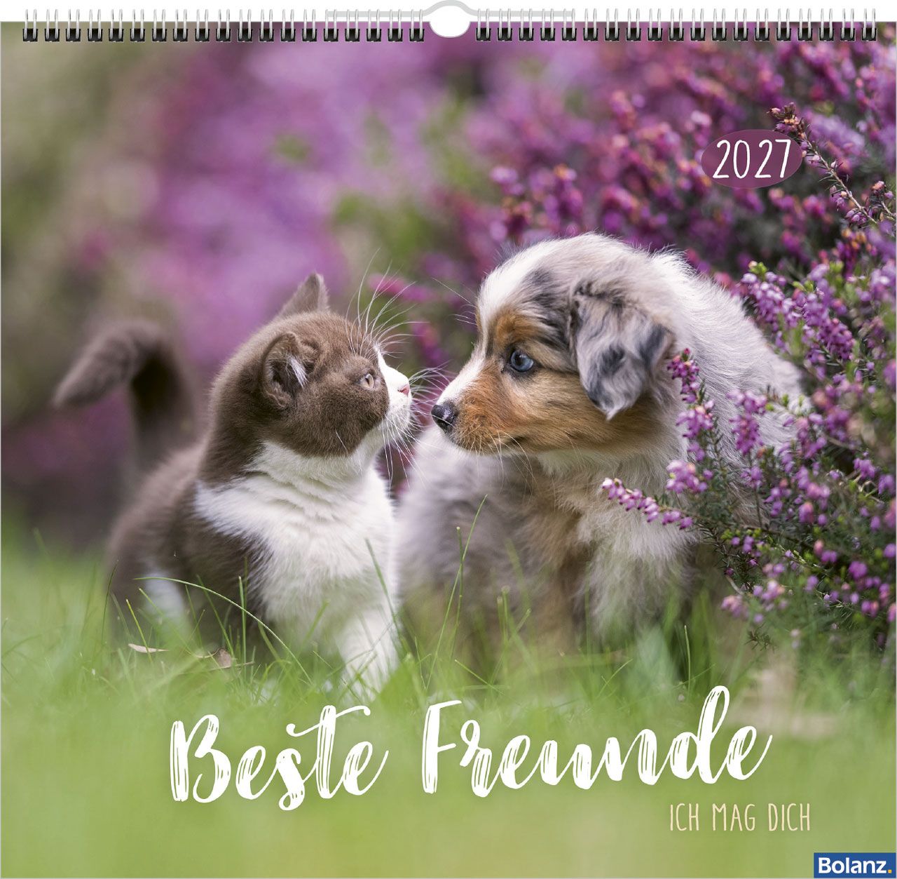 Posterkalender - Beste Freunde 2027