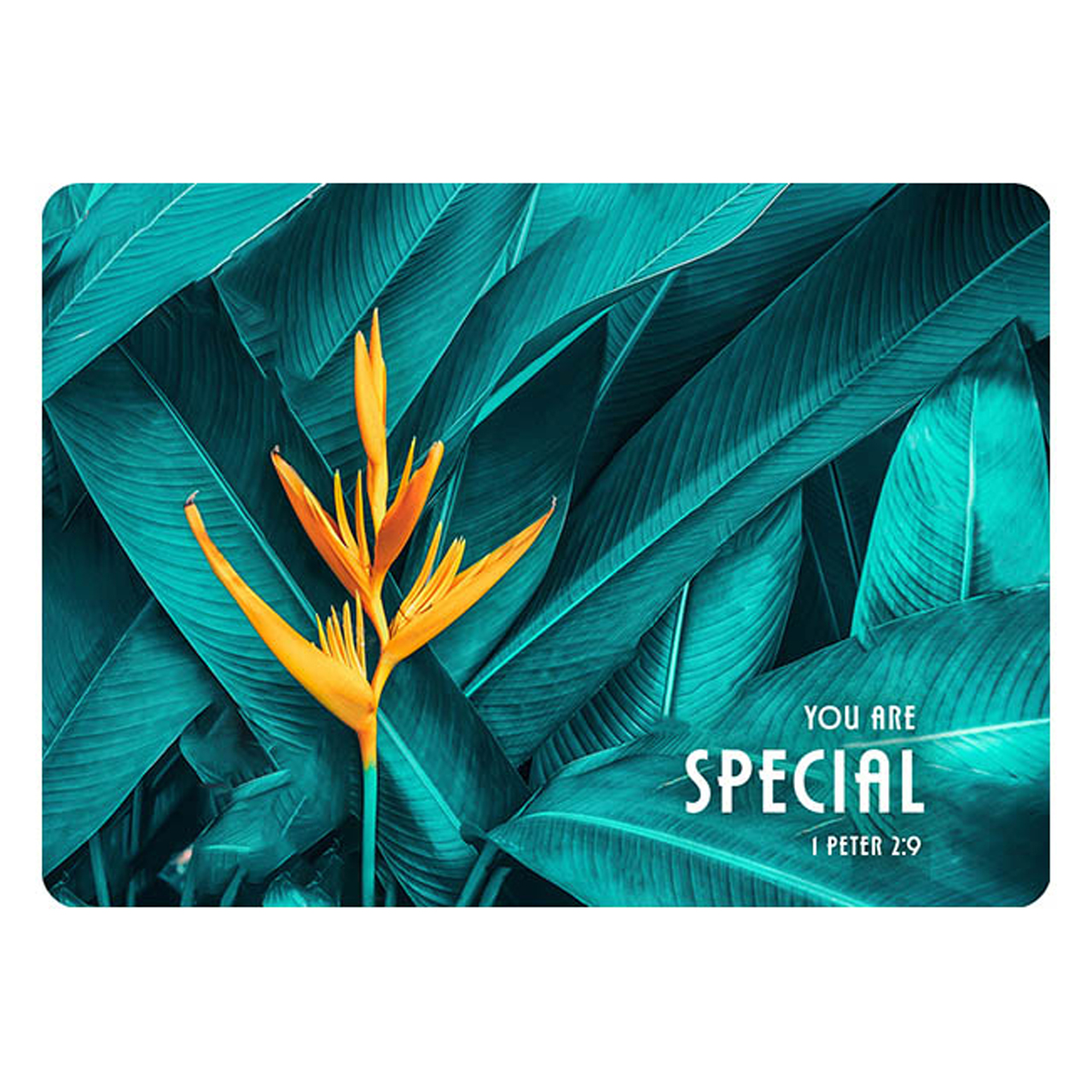 Postkarte - Postkarte 'Special'  1EX - Blume Blätter