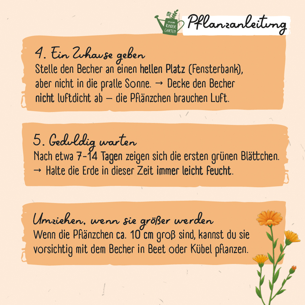 Saatgut - Ringel-Ringel-Blume