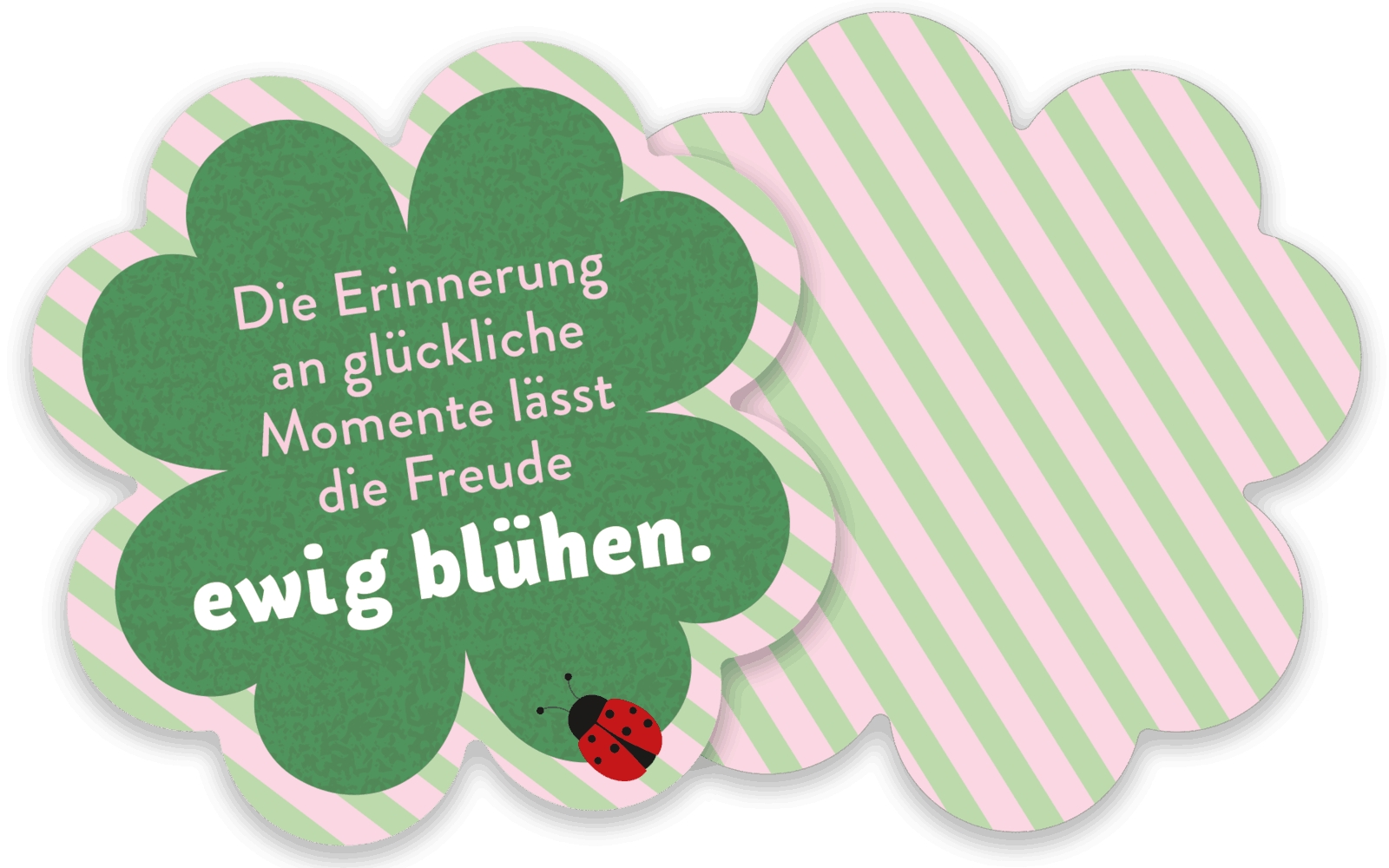 Karten-Box - Kleine Glücksmomente für dich