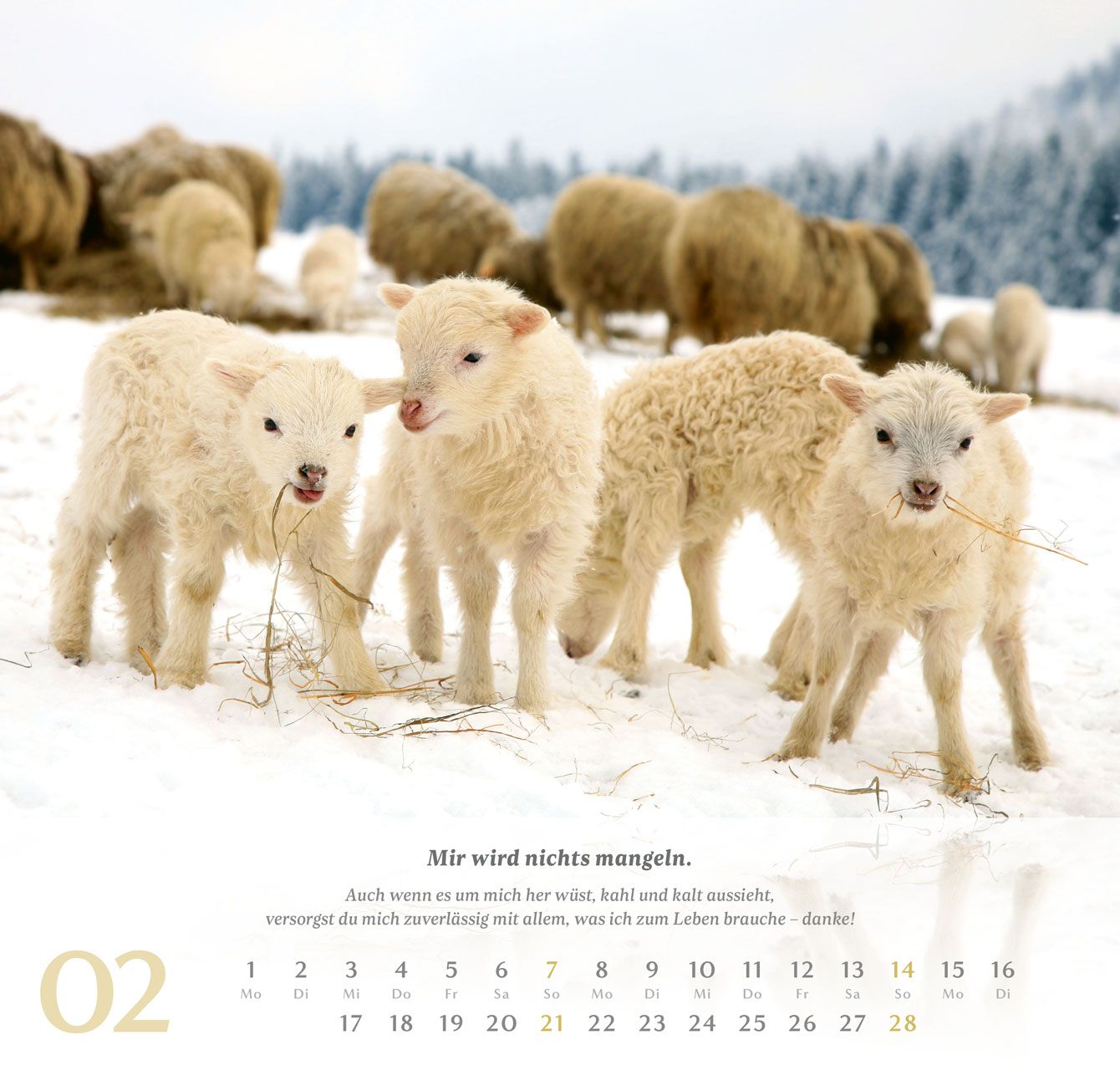 Wandkalender - Psalm 23 2027 Wandkalender