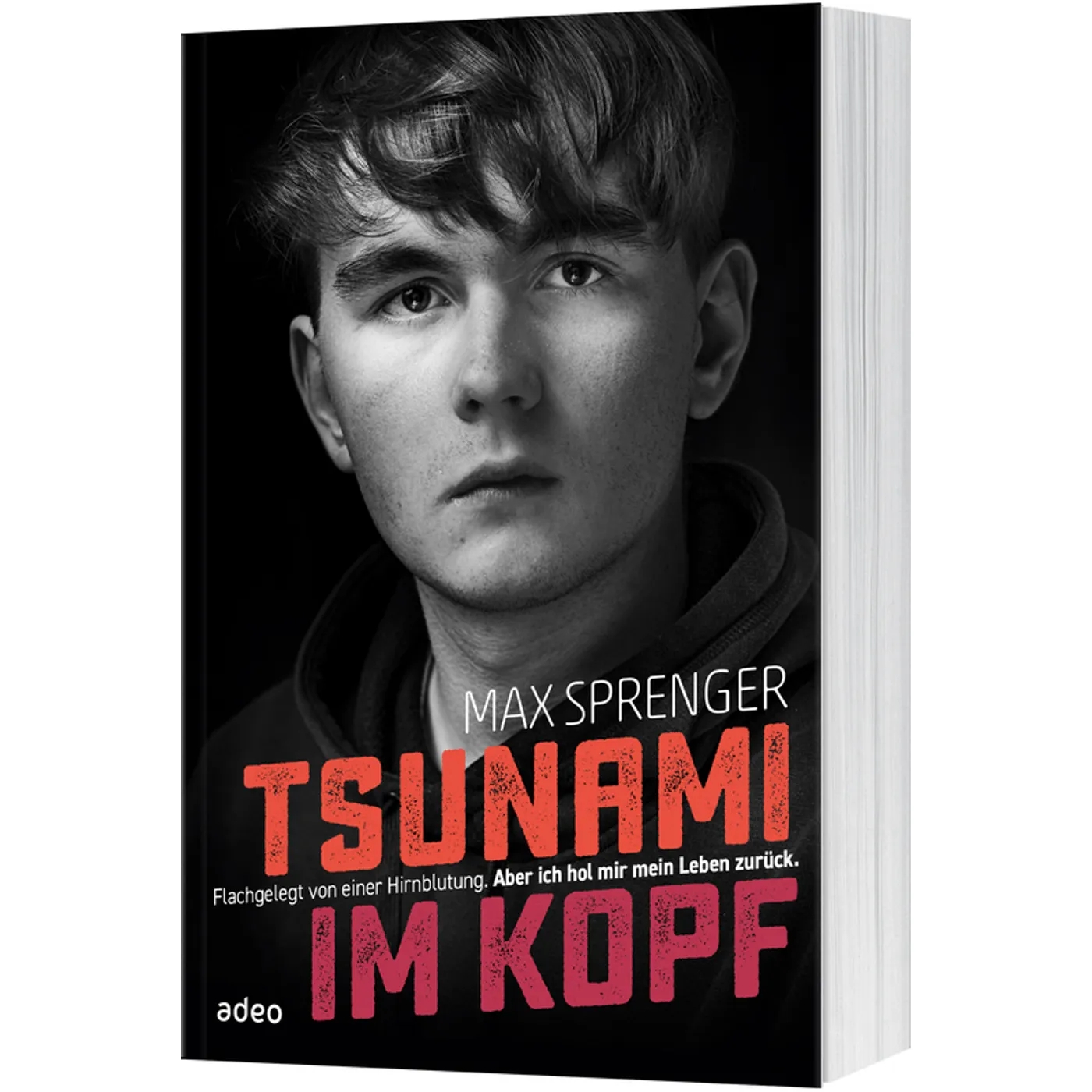 Buch - Tsunami im Kopf