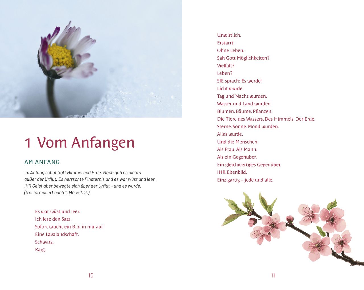 Buch - Wenn das Leben Blüten treibt