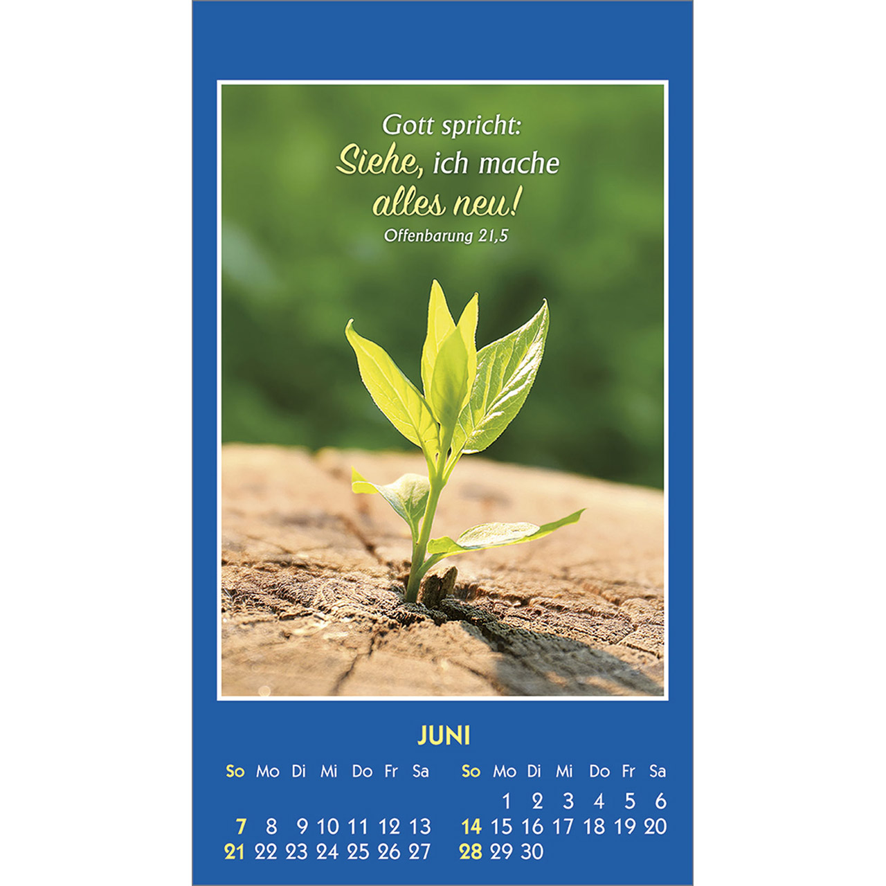 Aufkleberkalender - Gottes Wort - Licht für den Tag 2026