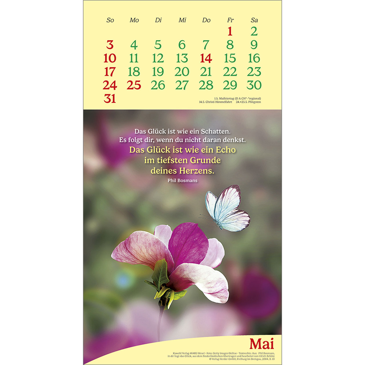 Wandkalender - Vitamine fürs Herz 2026