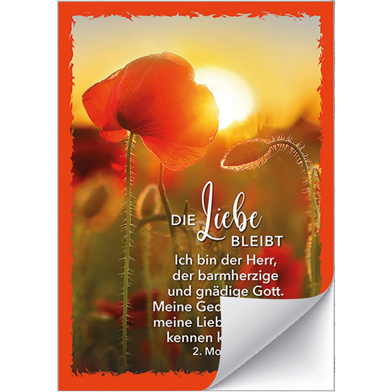 Postkarten mit Aufklebern - Die Liebe bleibt - Klatschmohn Sonne
