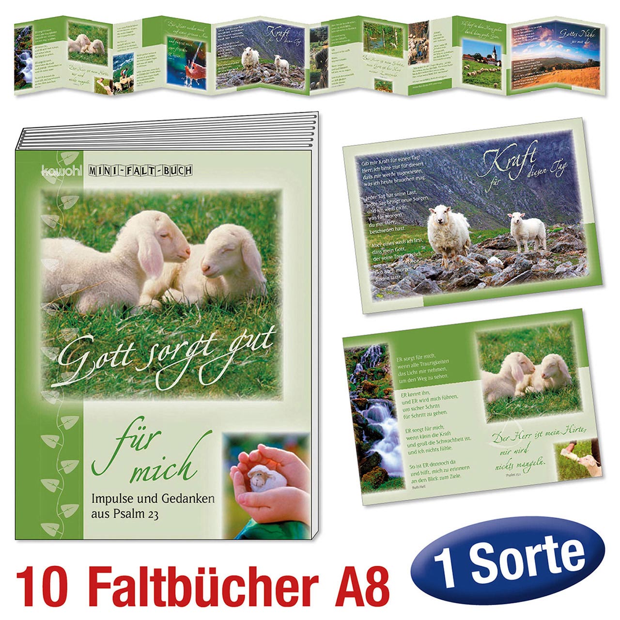Spar-Paket: Faltbücher Faltbuch - Spar-Paket: Faltbücher