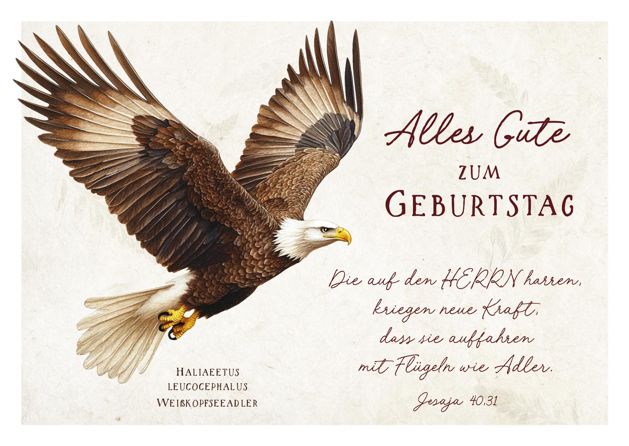 Postkarten - Postkarte Geburtstag Adler 12 Ex.