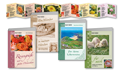 Spar-Paket: Faltbücher Faltbuch - Spar-Paket: Faltbücher