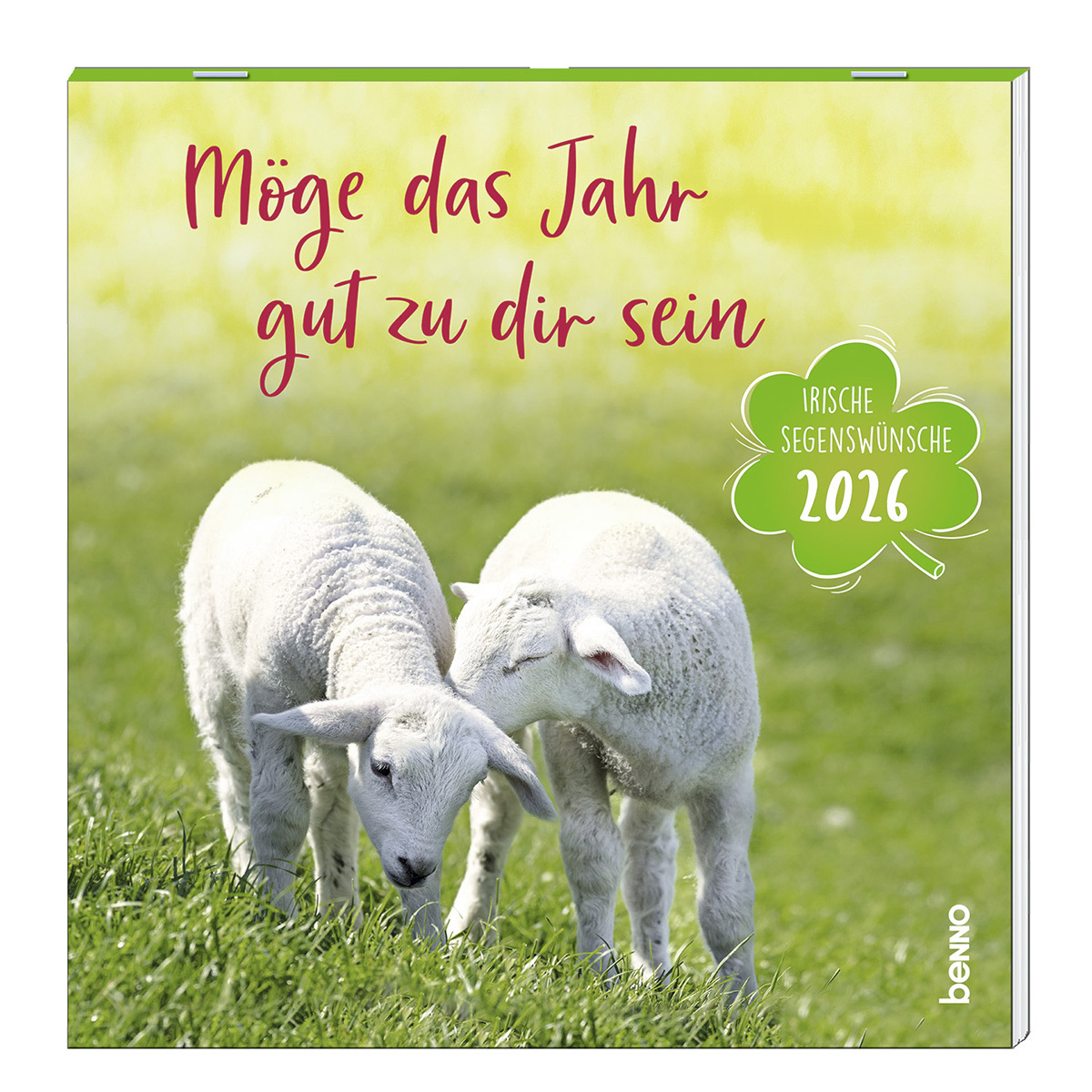 Terminkalender - Möge das Jahr gut zu dir sein 2026 - Schafe