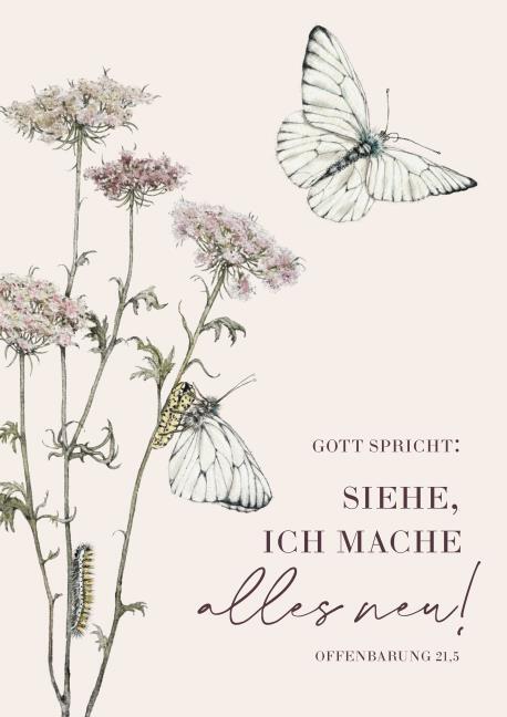 Poster - Poster A3 'Gott spricht: Siehe, ich mache alles neu!        Offenbarung 21,5'