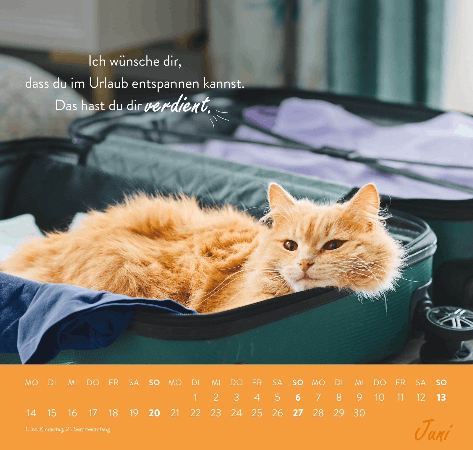 Wandkalender - Einfach mal abhängen 2027 - Katze