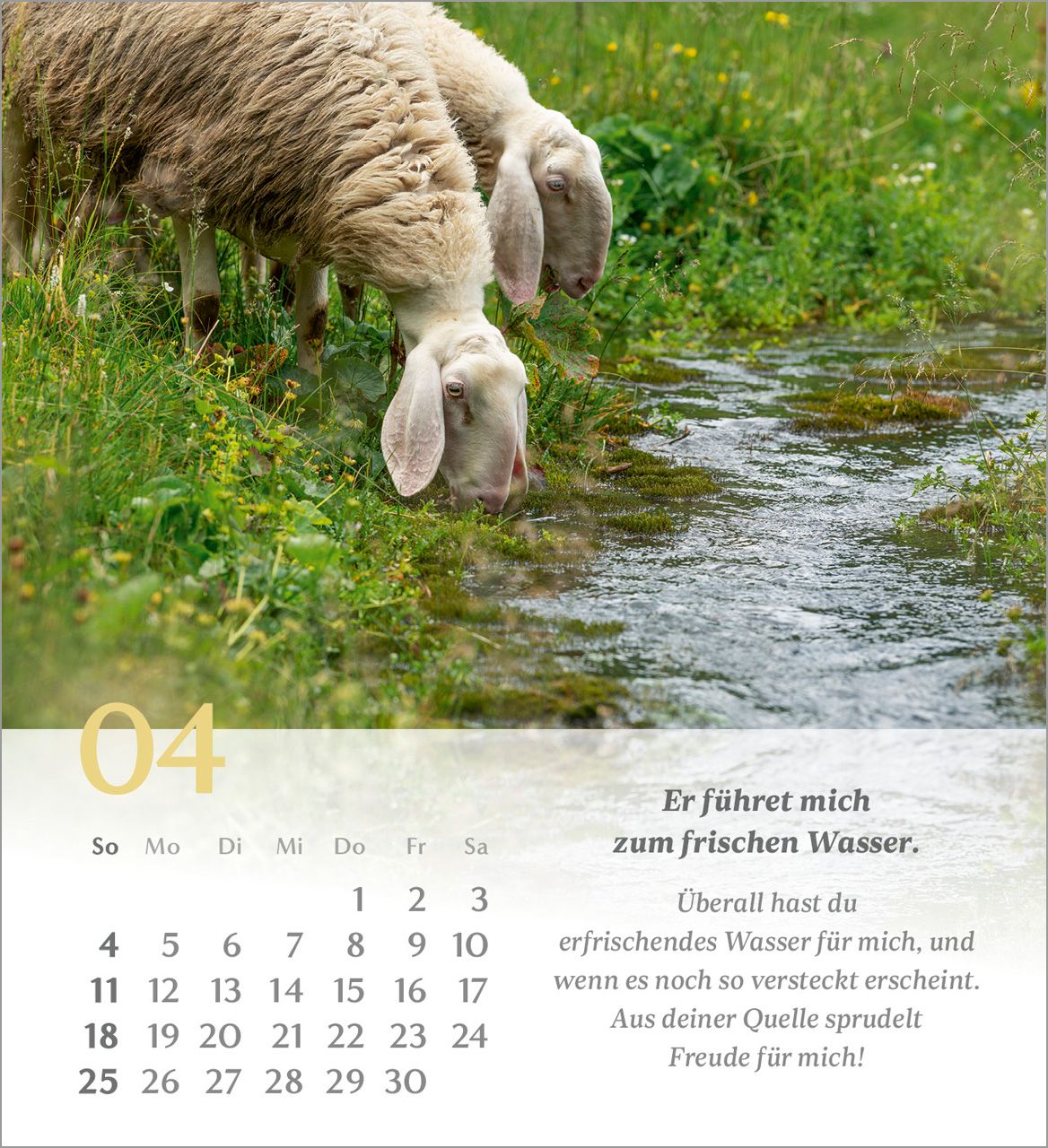Tischkalender - Psalm 23 2027