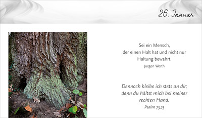 Geschenkbuch - Danke für 366 Tage - Blume