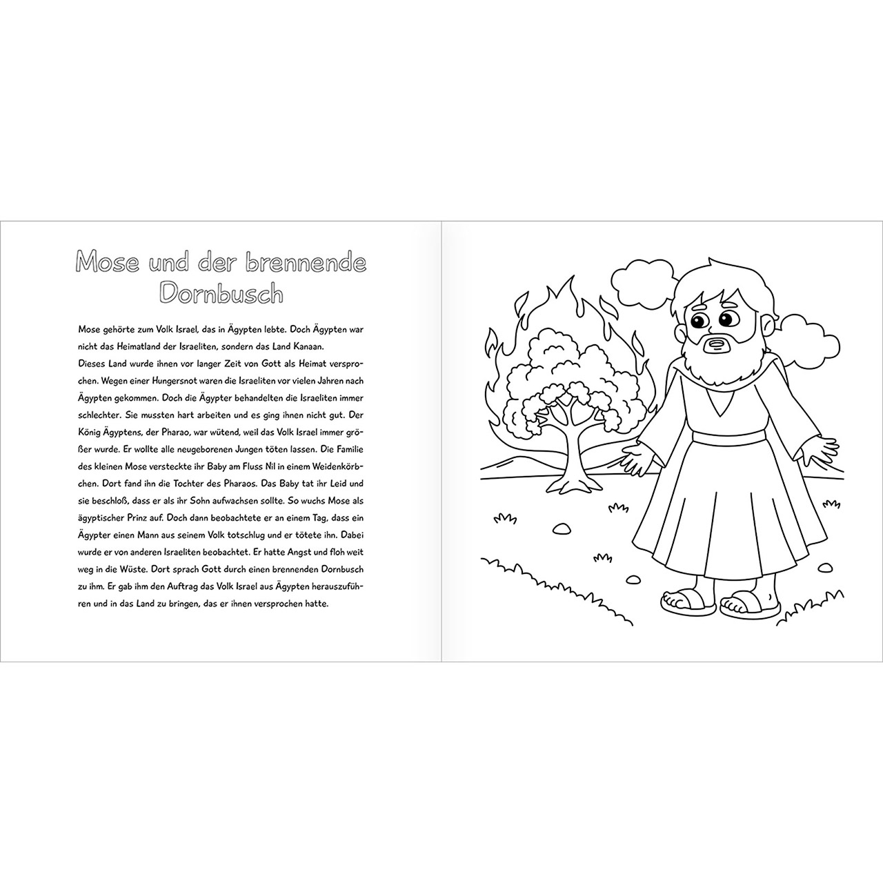 Malbuch - Mein erstes Bibel-Malheft - Arche Noah Tiere