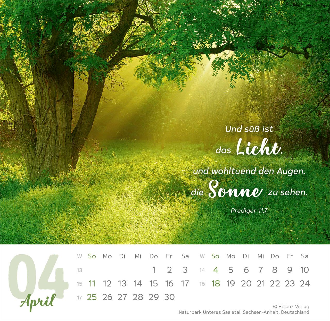 Tischkalender - Meine Zeit 2027 Tischkalender