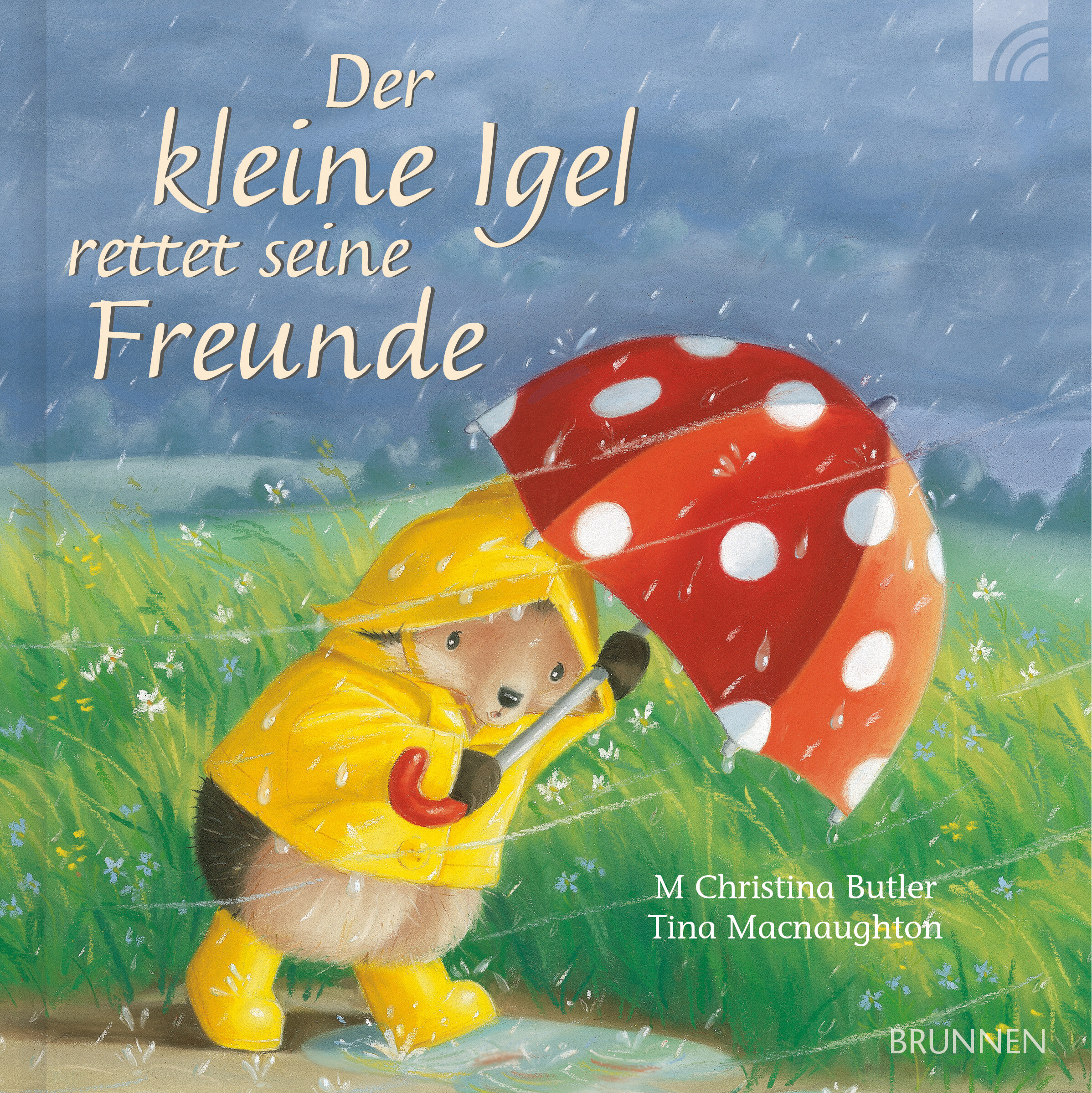 Buch - Mit dem kleinen Igel und seinen Freunden durch die Jahreszeiten