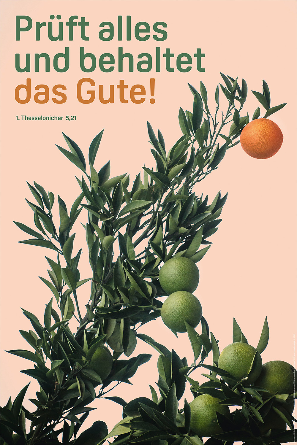 Poster 40 x 60 cm 'Prüft alles und behaltet das Gute!       1. Thessalonicher 5,