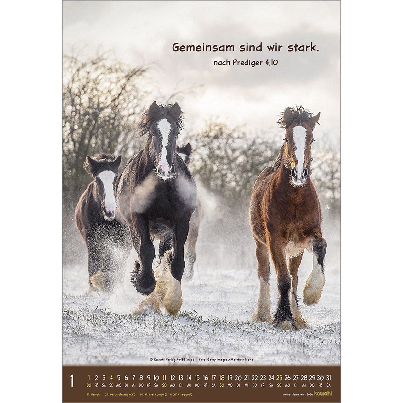 Wandkalender - Meine kleine Welt 2026