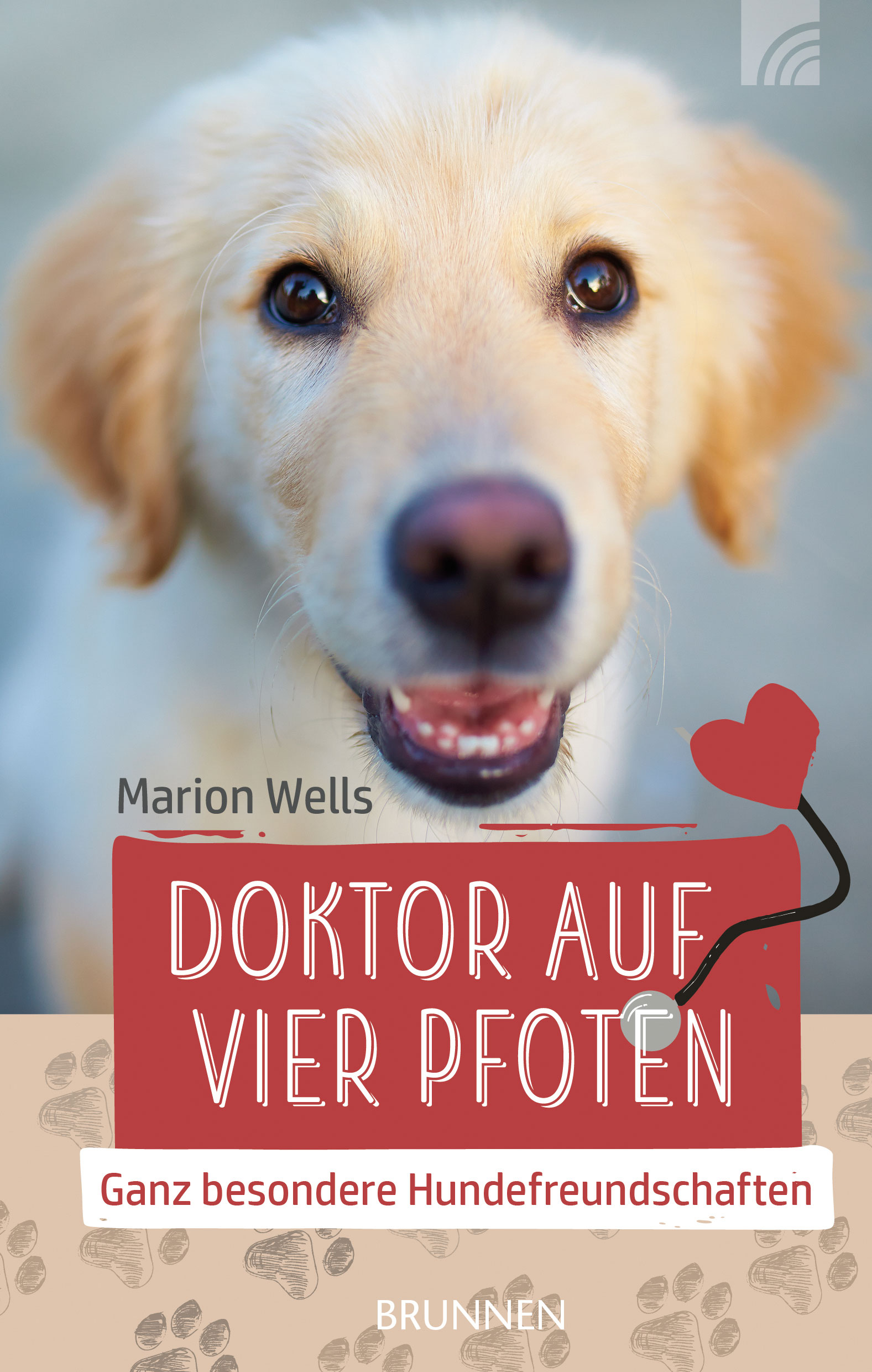 Doktor auf vier Pfoten Buch - Doktor auf vier Pfoten