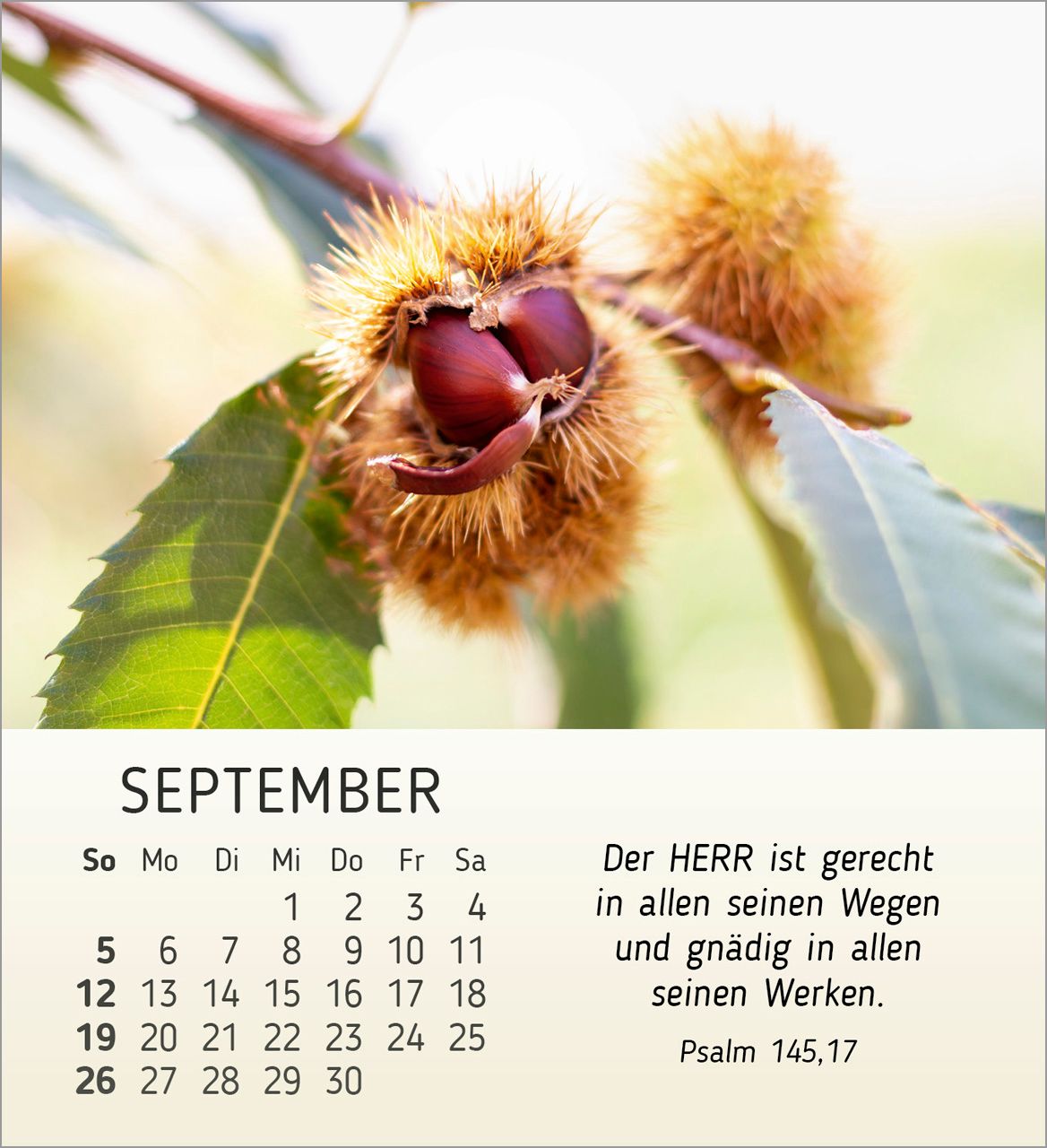 Tischkalender - Stille Begegnungen 2027