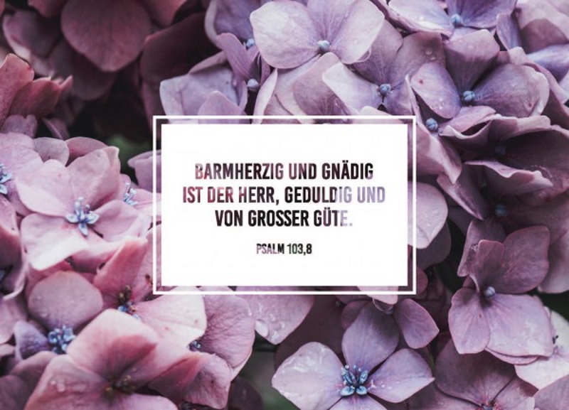 Faltkarte - Faltkarte 'Barmherzig und gnädig ist der Herr, geduldig und von großer Güte. Psa