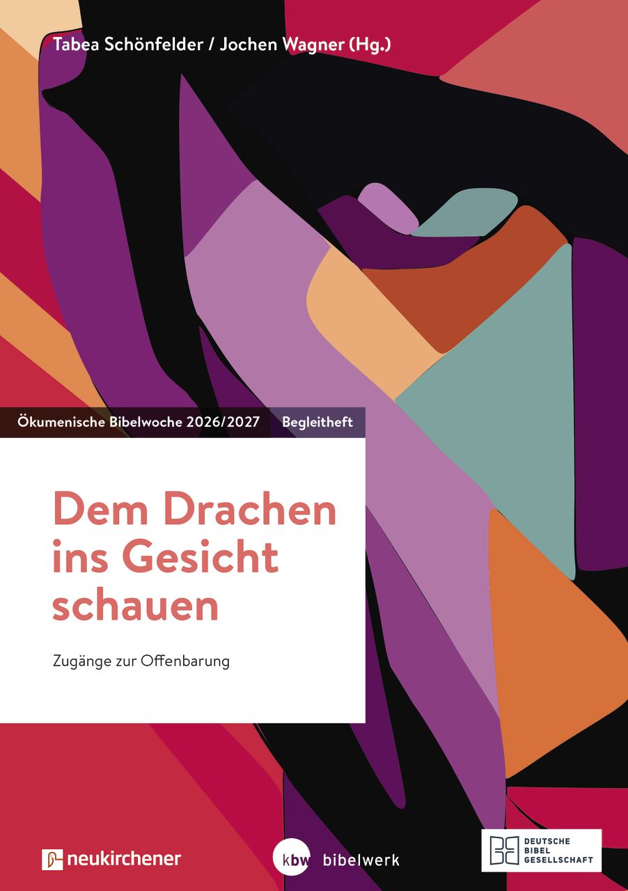Buch - Dem Drachen ins Gesicht schauen